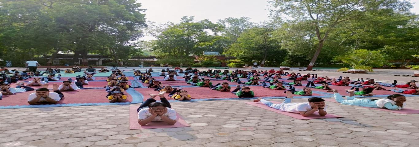 International Yoga Day Celebration 2023-24